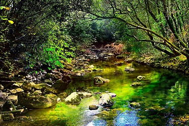 <a href="https://www.flickr.com/photos/74274915@N00/3409075500" target="_blank">Konavle, &copy; by Alexander Shchukin, on Flickr</a>