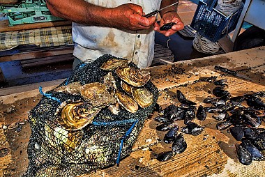 <a href="https://www.flickr.com/photos/croacia_/4685312158" target="_blank">Ston Oysters, &copy; by Mario Fajt, on Flickr</a>